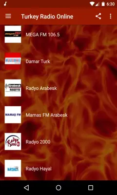 Turkey Radio Online Free android App screenshot 2